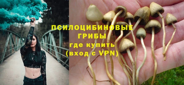 индика Богданович