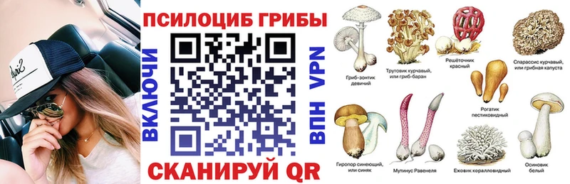 Псилоцибиновые грибы ЛСД  Новосокольники 