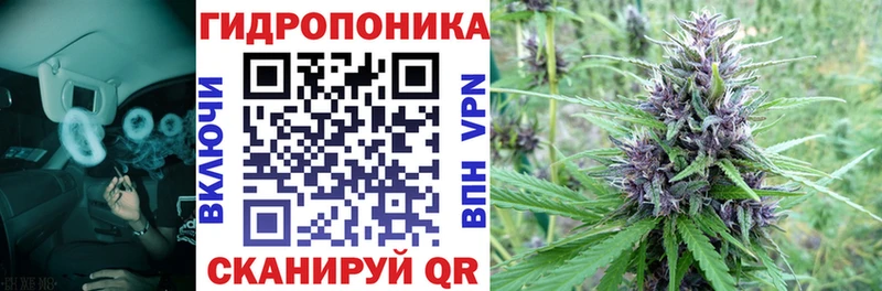 мориарти телеграм  Новосокольники  Марихуана AK-47 
